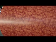 RAL-Farbe strich galvanisierte Stahlspule ppgi Farbe beschichtete galvanisierte Stahlspulen vor